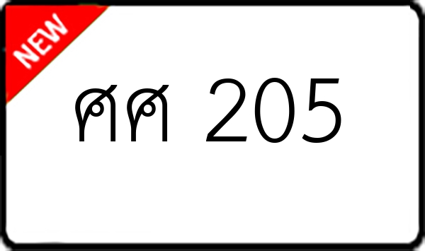 ศศ 205